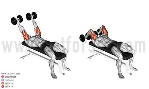 lying dumbbell tricep extension