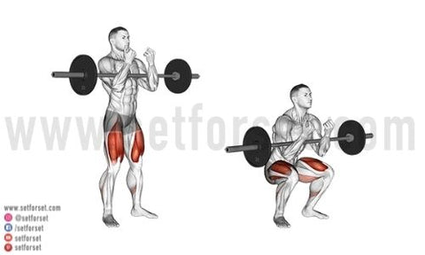 muscles worked zercher squat