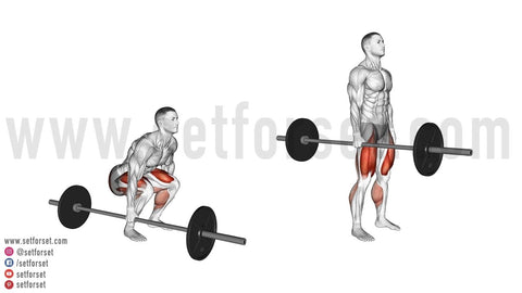 oblique exercises with weights