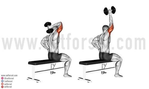 one arm dumbbell tricep extension