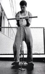 bruce lee isometrics