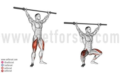 overhead squat muscles
