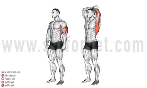 overhead tricep stretch