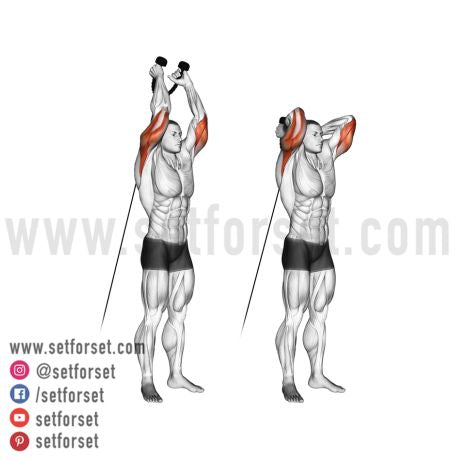overhead triceps cable extension