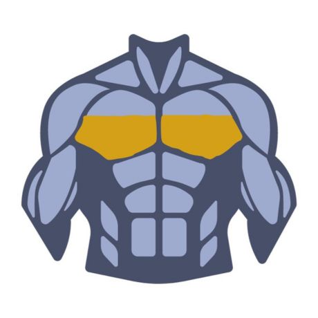 pectoral muscles