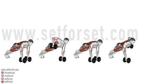 back exercises for strength