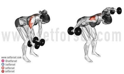 Training the posterior deltoid with dumbbells