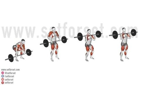 power clean muscles used
