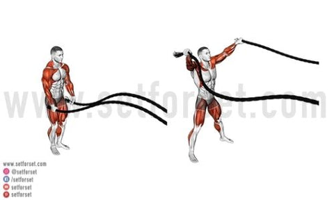 How to use Battle Ropes: Tips, Exercices, Benefits and Workouts Ideas -  BoxLife Magazine