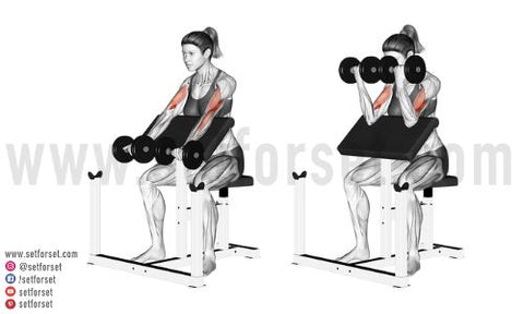 preacher curl form