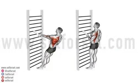13 Best Pull Up Alternatives To Work The Same Muscles - SET FOR SET