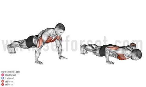 Elevated Push-Up  A Strength Exercise