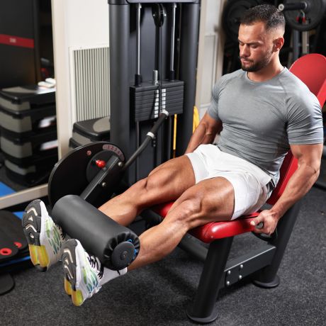 quad isolation exercises