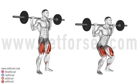 Dumbbell Back Squat to Overhead Press  Fun workouts, Wednesday workout,  Strength training workouts