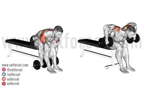 Exercises with the posterior deltoid