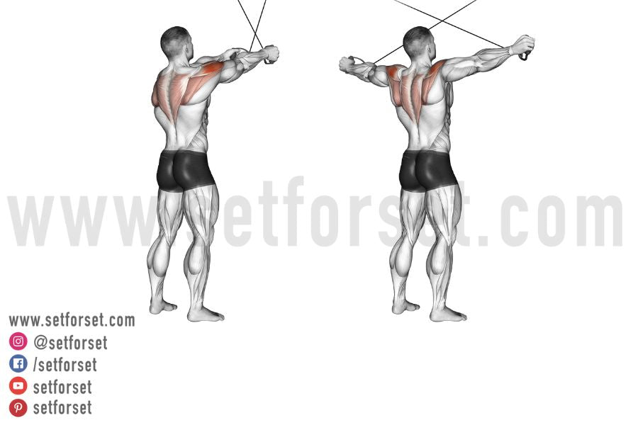 rear delt cable fly