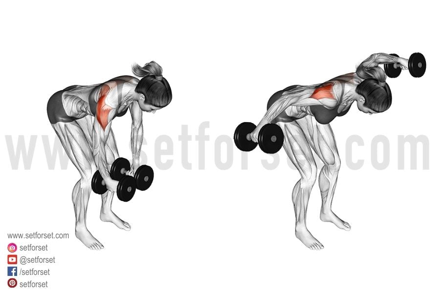 rear delt dumbbell fly