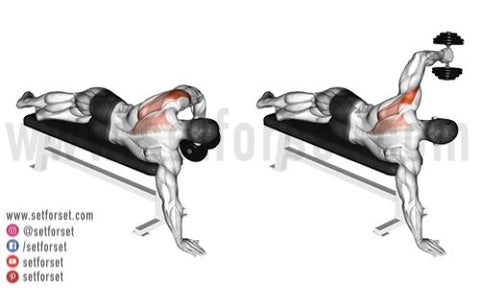 Back muscle exercises with dumbbells