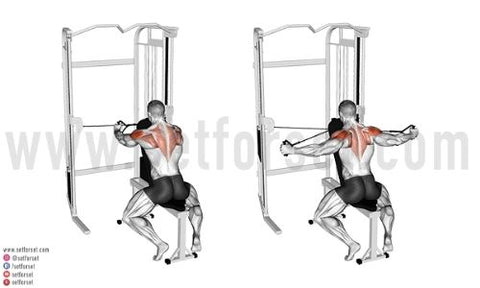 rear delt exercises face pulls