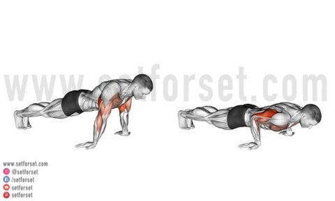 reverse grip push ups