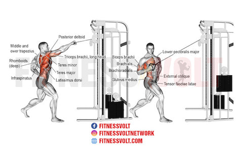 11 Rhomboid Exercises for a Stronger and More Defined Back - SET