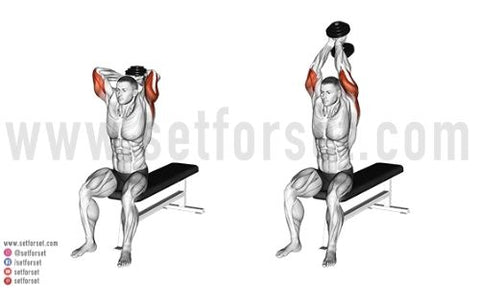 seated dumbbell triceps extension