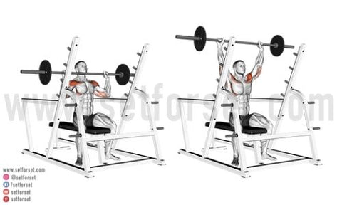 seated front delt exercises