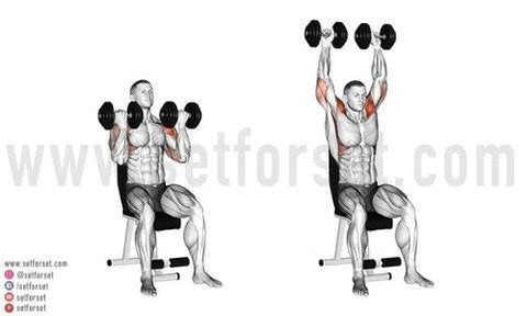 Arm & shoulder workout 3  around the world shoulder press