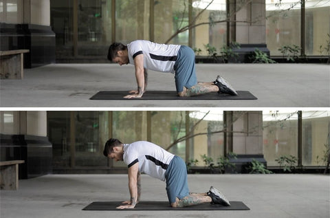 shoulder blade stability exercises