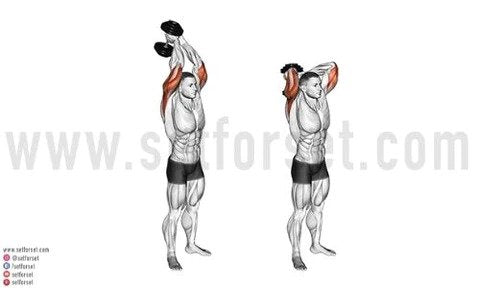 The Ultimate Shoulders & Arms Workout - SET FOR SET