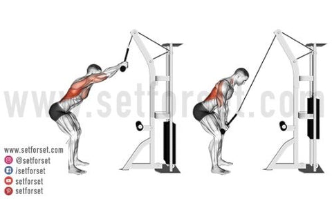shoulder extension exercise for long head tricep