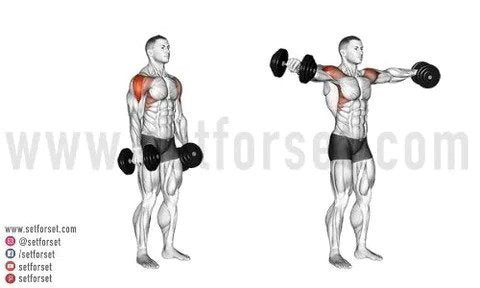 shoulder muscle exercises