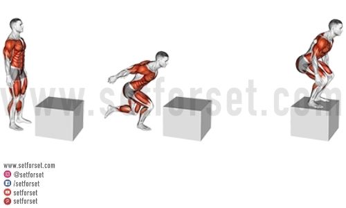 Box Jumps: How to Build a Mix of Strength and Explosiveness