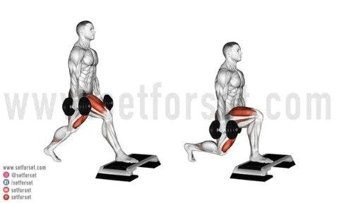 What Muscle Does Bulgarian Split Squat Work? Diagram, Guide and Variations  - Character Strength and Conditioning