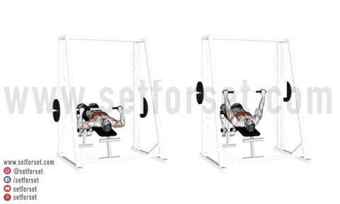 The Best Exercises for the Smith Machine: Squats, Bench Press, & More –  Transparent Labs