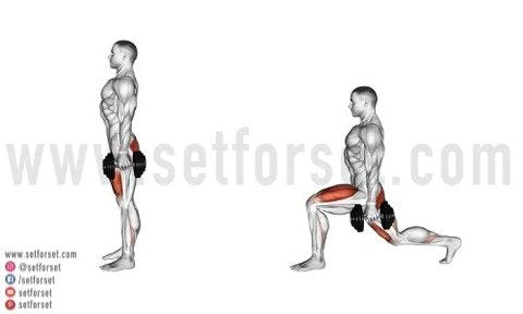 split lunges on bench