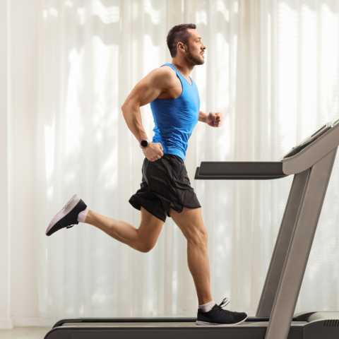 stair climber vs treadmill calories