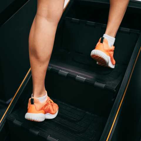 stair climber or elliptical for weight loss