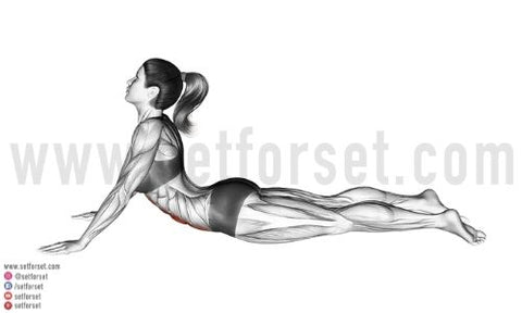10 Best Ab Stretches for Before & After Workouts - SET FOR SET