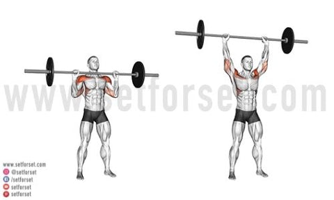 barbell front deltoid exercises