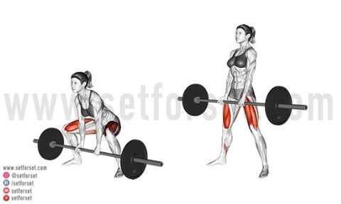 Sumo Deadlift — Rehab Hero