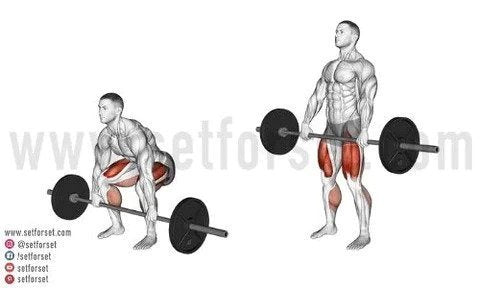 Comparison between the conventional and sumo deadlift.*