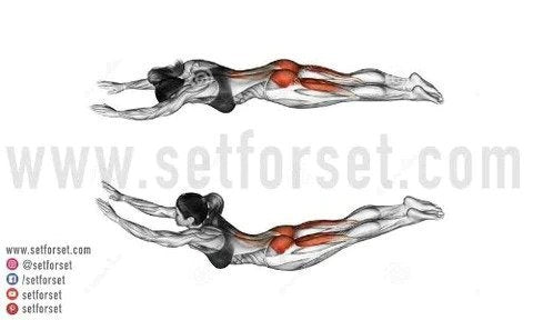 Plank Exercise Form, Variations and Workout - Dr. Axe
