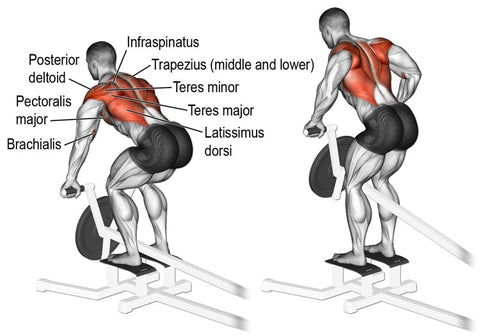 10 Best T-Bar Row Alternative Exercises for Strength - Steel