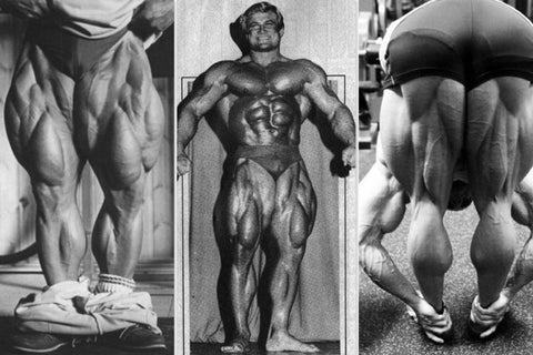 tom platz leg exercise