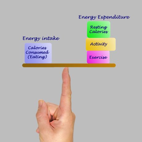 total daily energy expenditure components