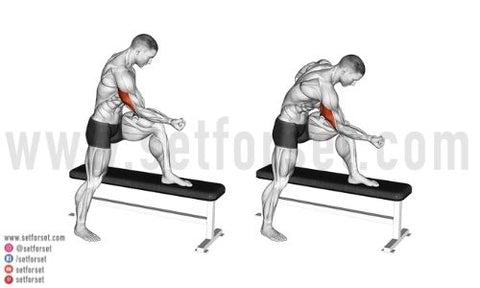 Triceps Stretch Reach your left arm overhead to - The Exercist