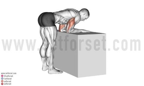 https://cdn.shopify.com/s/files/1/1633/7705/files/triceps_stretch_480x480.jpg?v=1652547244