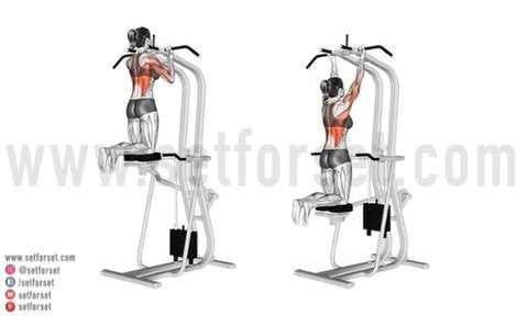 types of pull ups