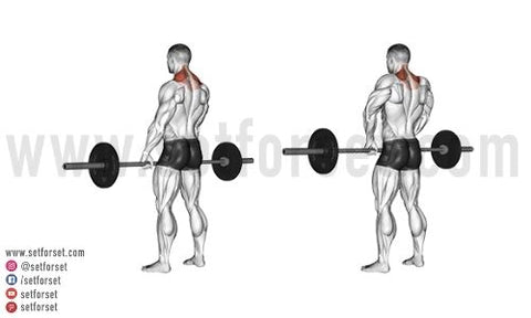 5 Best Upper Back Exercises for Building Massive Traps